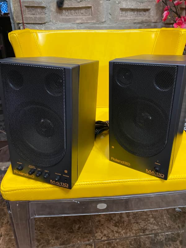 ROLAND MA-110 STEREO MICRO MONITOR Set Tested 30W Computer | Reverb