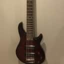 Schecter Raiden Special 5