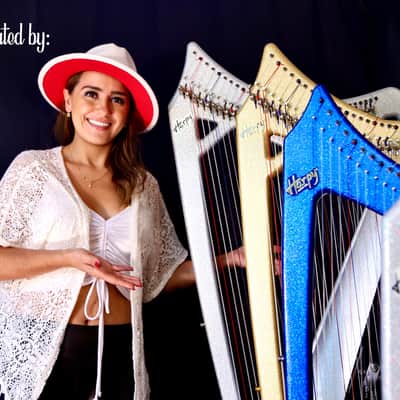 33 String Athena Harpy with Levers - Electric-Acoustic Harp - White Matte image 5