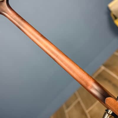 Custom Vega Senator 19-Fret Tenor Banjo with Fiberskin head, Vintage Star Hardware and Marbled Fretboard image 11
