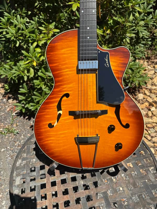 ゴダン Godin 5th Avenue Jazz 希少フルアコギター Godin 5th Avenue Jazz | Reverb