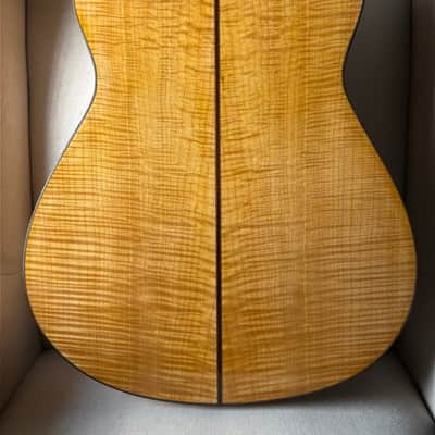 Kenny Hill 7 String Classical Cutaway Crossover Seven String image 4