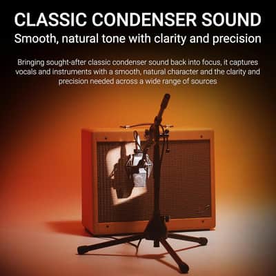 SE ELECTRONICS sE4100 Large Diaphragm Condenser Microphone with Gold Capsule, Cardioid Pickup Pattern, Pads & Low-Cut Filters & Shockmount - Professional Studio Recording Microphone (Matched Pair) image 4