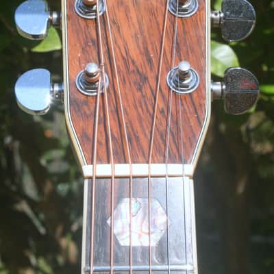 1978 Yairi  YW-600 Coral Rosewood(New Jacaranda ) Body Natural Bargain image 6