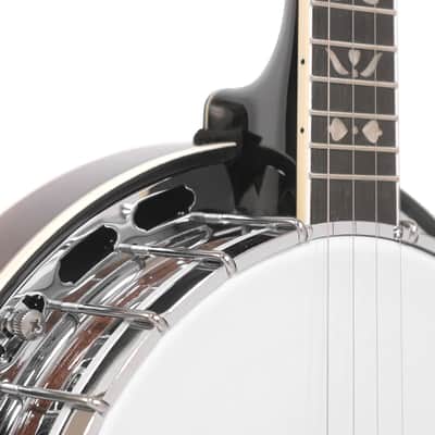 Gold Tone PS-250 Plectrum Special Bell Brass Tone Ring 4-String Banjo image 6