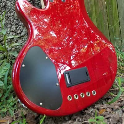 Lakland 55-02 Deluxe 2008 image 6