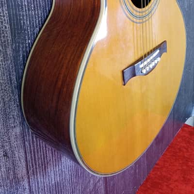 Charvel 625C Acoustic Electric Guitar (Queens, NY) image 11