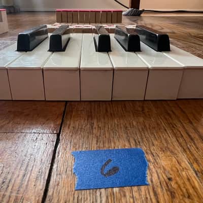 Fender Rhodes REPLACEMENT KEYS, 1 octave (1974) (listing 6 of 7) image 3