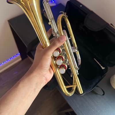 Bb Cornet – Gold/Silver Finish – Complete with Hardcase & Mouthpiece image 3
