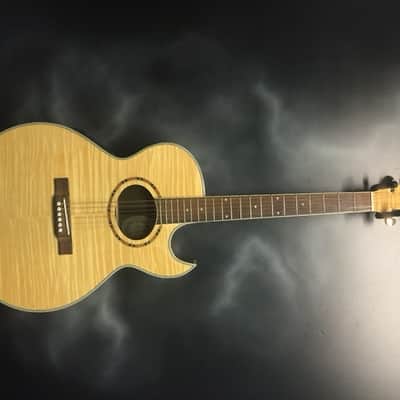 Washburn EA9F image 1