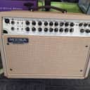 Mesa Boogie Rosette 300/Two:Eight 2-Channel 300-Watt 2x8" Acoustic Guitar Combo 2017 - Present - Various