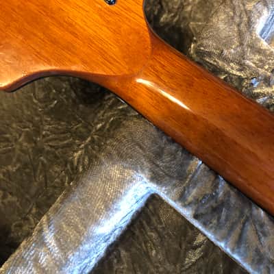 Equator Instruments Languedoc style Hollowbody Guitar image 5