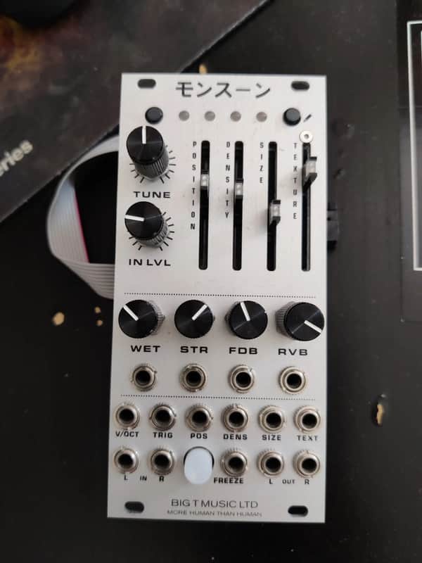 Big T Monsoon Mutable Instruments Clouds Clone Eurorack Module image 1