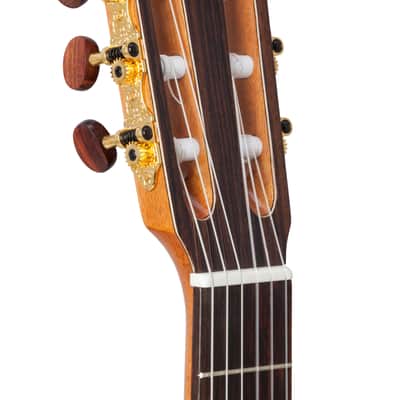 Kremona F65CW | Fiesta Classical Cutaway w/ Fishman.  New with Full Warranty! image 3