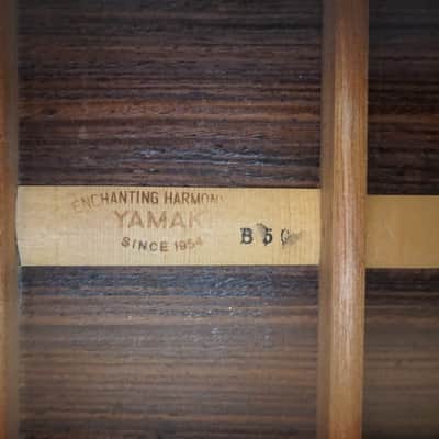 Yamaki B50 1970s Japan Western Style Acoustic image 10