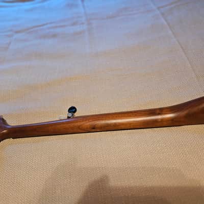 Kevin Enoch Tradesman Fretless Nylgut image 13