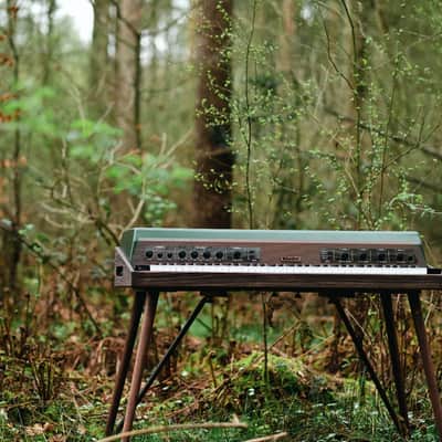 Rhodes Mk8 Earth Edition Limited Edition Electric Piano w/ Midi image 12