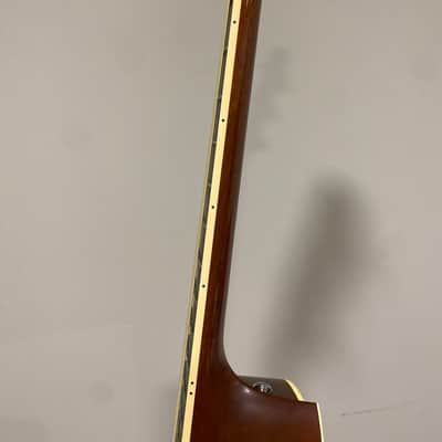 Taylor DN-3 2010 - Natural image 3