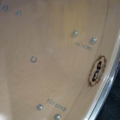 DW USA Collectors Series 14" Maple Standard Tom w/ Rings & Mount - Vintage Classic Marine Pearl | 11x14" image 9