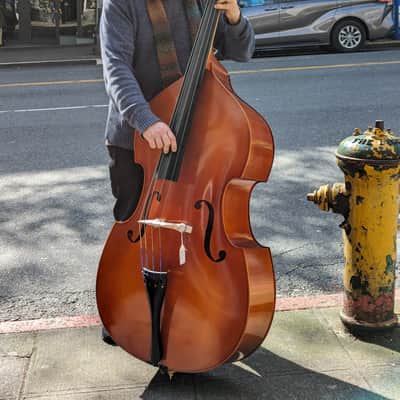 Upright Bass Samuel Eastman VB80 2019 image 1