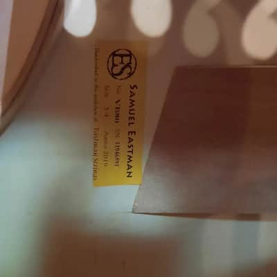 Upright Bass Samuel Eastman VB80 2019 image 13