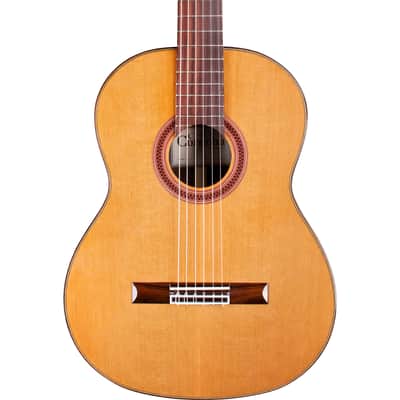 Cordoba C7 CD Classical Acoustic Guitar Cedar Top in Natural Finish image 1