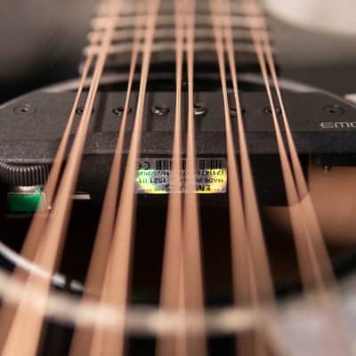 Immagine Taylor 250ce Plus BLK Bajo Quinto Acoustic/Electric Guitar - Black with Aerocase - 15