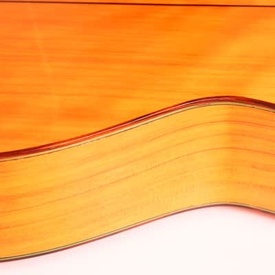 José M Palmero 2023 Flamenco Guitar – A Striking Fusion of Beauty and Power - Check Video! image 15