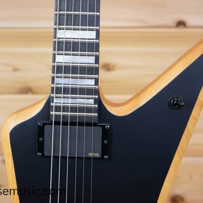 Wylde Audio Blood Eagle - Mahogany Blackout image 3