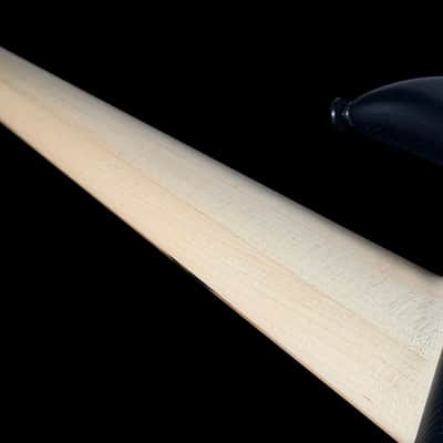 2026 F Bass BN5 5-String Bass Active EQ with Pale Moon Ebony Fretboard ~ Matte Black image 8