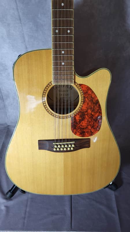 MSA CW 1300 – 12-String Acoustic-Electric Guitar | Perfect for Beginners image 1