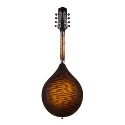 Used Northfield NFMSP-A4 Mandolin Sunburst 2023 image 5