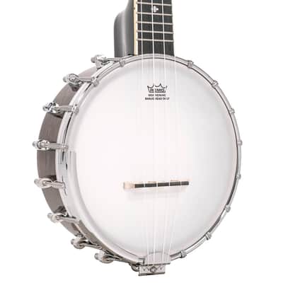 Gold Tone Banjolele Concert Maple Neck Scale 4-String Banjo Ukulele w/Gig Bag image 3