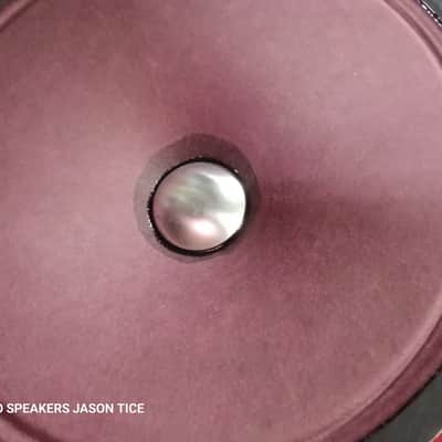 12" ALNICO SPEAKER UTAH BASED HEMPOPOTAMUS HYBRID FAT THICK MEATY 3D TONALITY PMR SPEAKER image 10