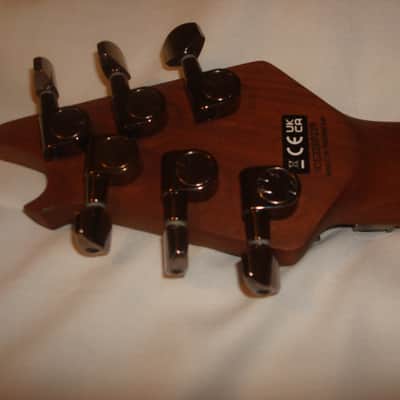 EVH Wolfgang Standard Exotic - Bocote image 6