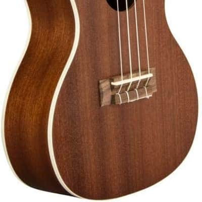 Lanikai Mahogany Concert Ukulele - Satin Finish (MA-C) image 1