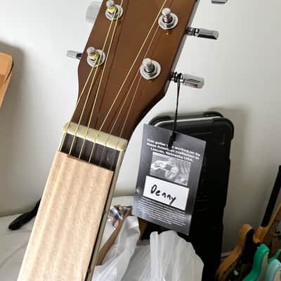 Zager ZAD01PK-N Acoustic Dreadnought Guitar image 2