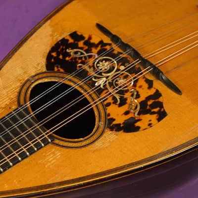 1930 Martin Style 3 Bowlback Mandolin (VIDEO! Fresh Work, Ready) image 6