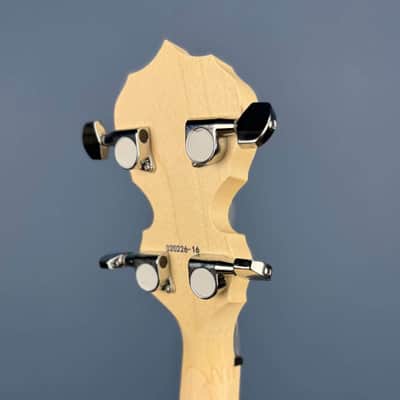 Custom Deering Goodtime 19-Fret Tenor Banjo Fiberskin 2026 image 9