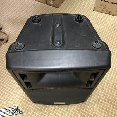 Edison Powered 15" PA Speaker / Monitor image 3