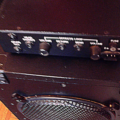 Polytone MINI BRAIN 1994 image 2