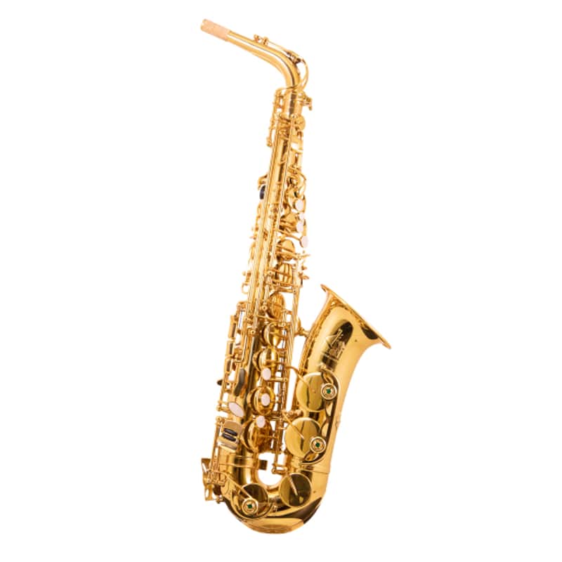 Trevor James 'The Horn' - Alto Saxophone Gold Lacquer image 1