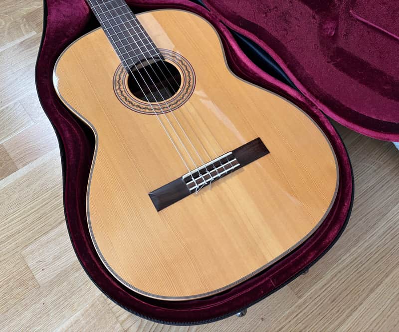 Asturias Wataru Tsuji N-2 Spruce/Indian Rosewood 1996 Japan image 1