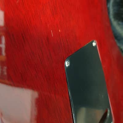 PRS Custom 24 1991 Brazilian Sweet switch! image 19