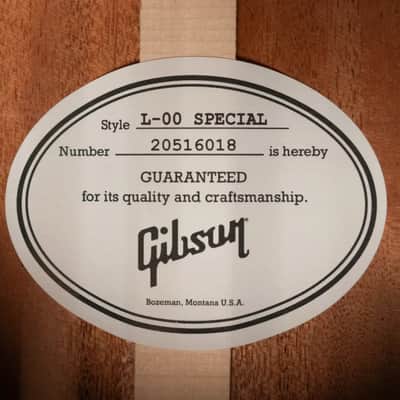 Gibson L-00 Special Parlor Acoustic/Electric Guitar - Honey Burst with Gig Bag image 17