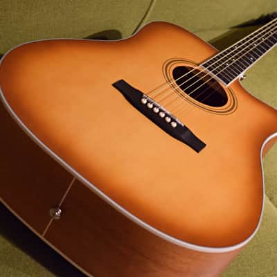 Nashville Guitar Works D10CE EB 2023 - Edgeburst image 6