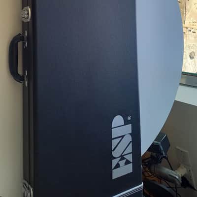In the UK 2008 ESP Horizon NT DBSB image 3