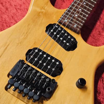 HAMER USA Diablo GDBS-B-N [GSB019] image 5