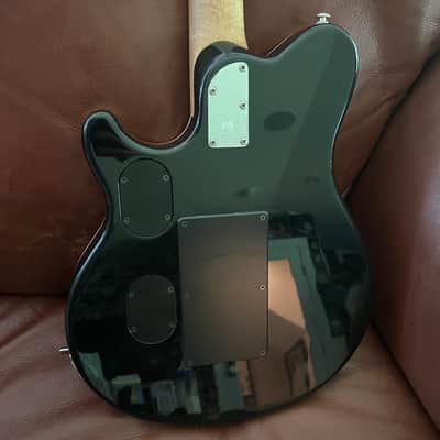 Ernie Ball Music Man Eddie Van Halen Signature Floyd 1991 - 1995 - Various image 9