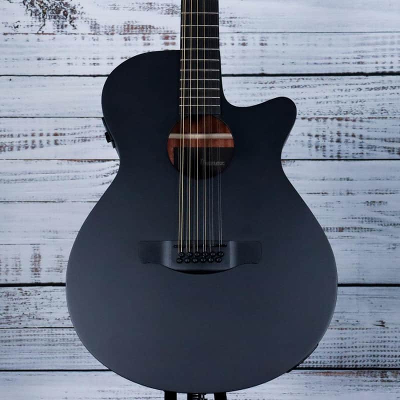 Ibanez AEG 1221 12-String Acoustic-Electric Guitar | Black Out image 1